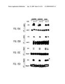 Interleukin-9 receptor mutants diagram and image