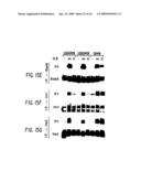 Interleukin-9 receptor mutants diagram and image