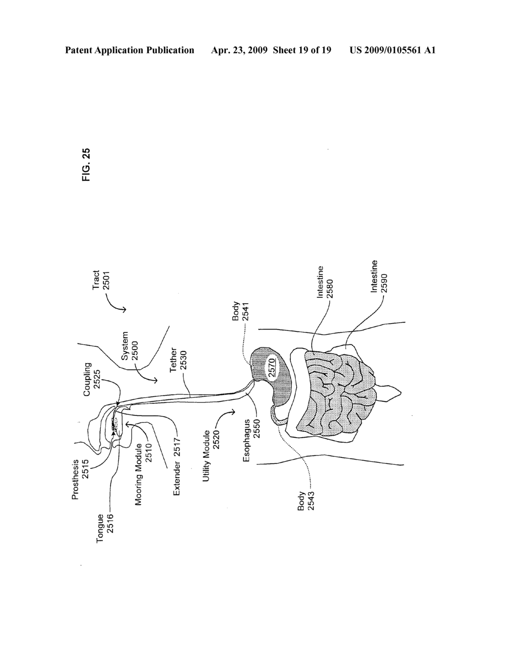 Medical or veterinary digestive tract utilization systems and methods - diagram, schematic, and image 20