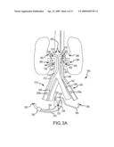 RENAL ASSESSMENT SYSTEMS AND METHODS diagram and image