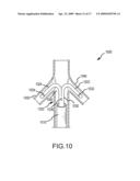 RENAL ASSESSMENT SYSTEMS AND METHODS diagram and image