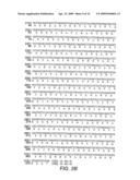 Polyubiquitin Rubi3 Promoter and 5  Regulatory Sequences diagram and image