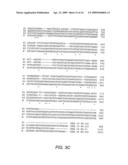 Polyubiquitin Rubi3 Promoter and 5  Regulatory Sequences diagram and image