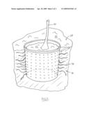 PLANT POT diagram and image