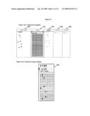 Use of Composite Bitmapped Images in Conjunction with Display of Captured Data diagram and image