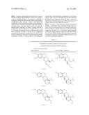 FLUORINATED DIHYDROTETRABENAZINE ETHER IMAGING AGENTS AND PROBES diagram and image