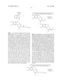 FLUORINATED DIHYDROTETRABENAZINE ETHER IMAGING AGENTS AND PROBES diagram and image