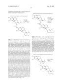 FLUORINATED DIHYDROTETRABENAZINE ETHER IMAGING AGENTS AND PROBES diagram and image