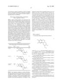 FLUORINATED DIHYDROTETRABENAZINE ETHER IMAGING AGENTS AND PROBES diagram and image