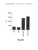 COMPOSITIONS AND METHODS RELATED TO TIM 3, A TH1-SPECIFIC CELL SURFACE MOLECULE diagram and image