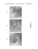 Antigen-Adjuvant Compositions and Methods diagram and image