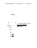 ACELLULAR IMMUNOGENIC COMPOSITIONS AND ACELLULAR VACCINE COMPOSITIONS AGAINST BACILLUS ANTHRACIS diagram and image