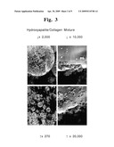 Biocompatible Material and Process for Manufacturing the Same diagram and image