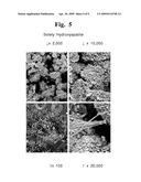 Biocompatible Material and Process for Manufacturing the Same diagram and image