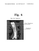 Biocompatible Material and Process for Manufacturing the Same diagram and image