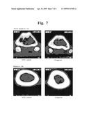 Biocompatible Material and Process for Manufacturing the Same diagram and image