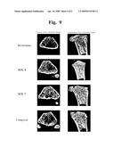 Biocompatible Material and Process for Manufacturing the Same diagram and image