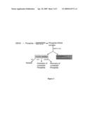 WATER SOLUBILIZATION OF CELLULOSICS AND RELATED COMPOUNDS diagram and image