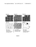 Surface Coating Process diagram and image