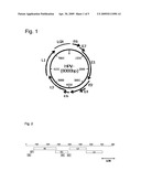 METHOD FOR DETECTING INTEGRATED HPV DNA diagram and image