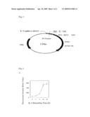 REPORTER GENE ASSAY diagram and image