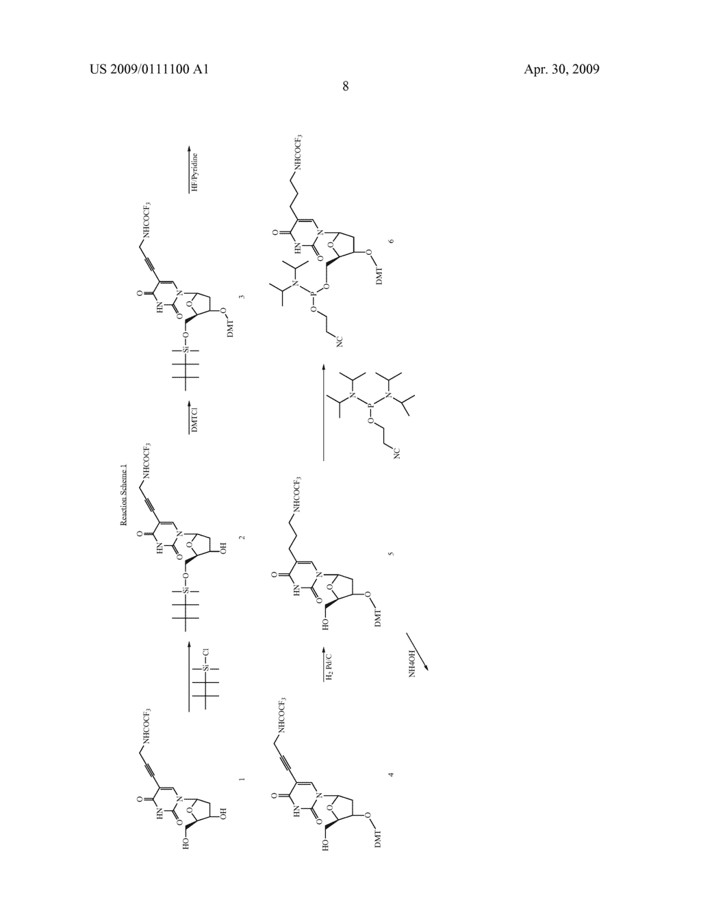 MINOR GROOVE BINDER - ENERGY TRANSFER OLIGONUCLEOTIDES AND METHODS FOR THEIR USE - diagram, schematic, and image 18