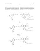 MINOR GROOVE BINDER - ENERGY TRANSFER OLIGONUCLEOTIDES AND METHODS FOR THEIR USE diagram and image