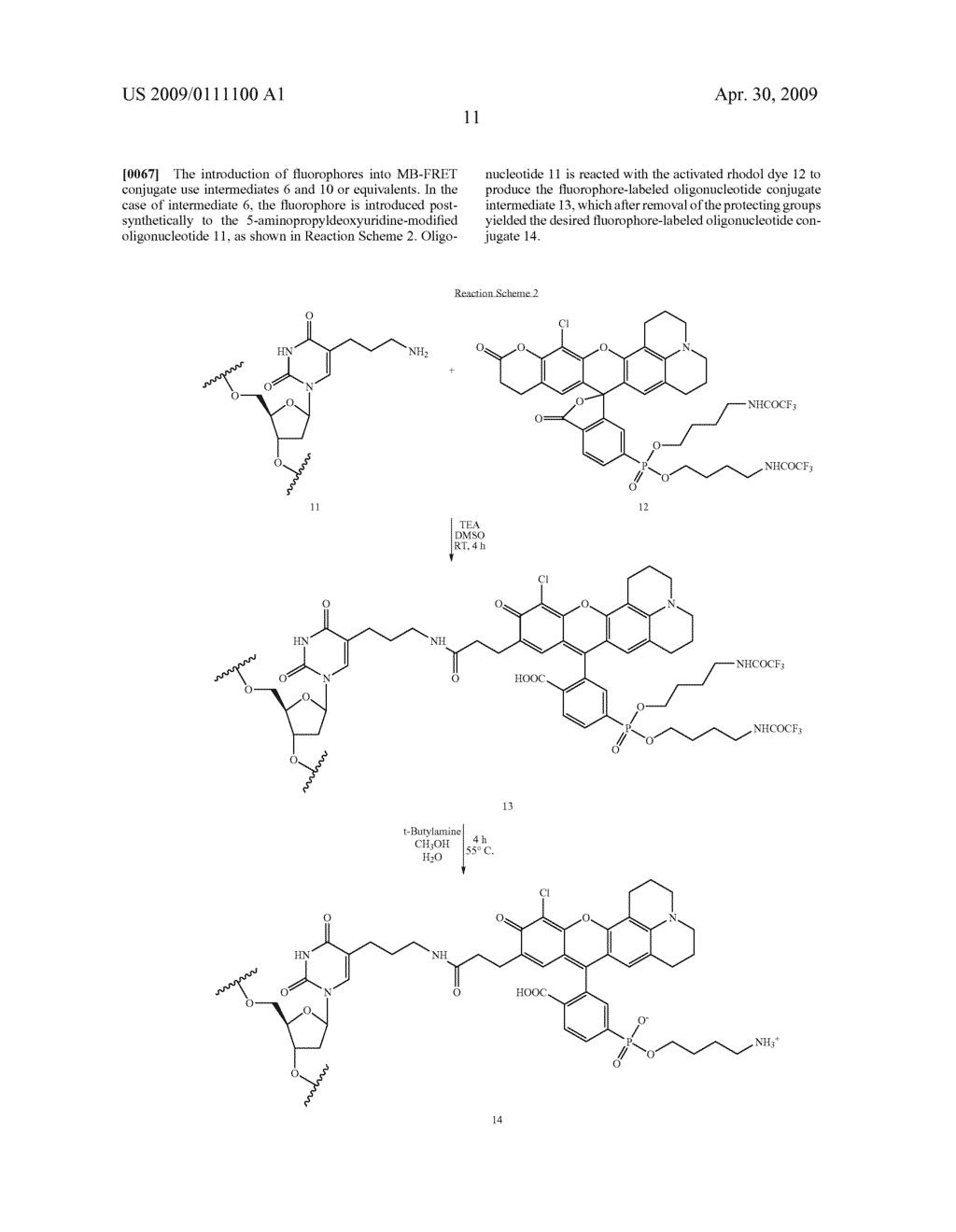 MINOR GROOVE BINDER - ENERGY TRANSFER OLIGONUCLEOTIDES AND METHODS FOR THEIR USE - diagram, schematic, and image 21