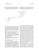 MINOR GROOVE BINDER - ENERGY TRANSFER OLIGONUCLEOTIDES AND METHODS FOR THEIR USE diagram and image