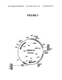 Vector System diagram and image