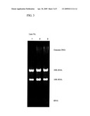 RNA EXTRACTION METHOD, RNA EXTRACTION REAGENT, AND METHOD FOR ANALYZING BIOLOGICAL MATERIALS diagram and image