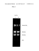 RNA EXTRACTION METHOD, RNA EXTRACTION REAGENT, AND METHOD FOR ANALYZING BIOLOGICAL MATERIALS diagram and image