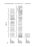 MAMMALIAN CELL-BASED IMMUNOGLOBULIN DISPLAY LIBRARIES diagram and image