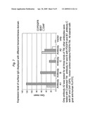 MAMMALIAN CELL-BASED IMMUNOGLOBULIN DISPLAY LIBRARIES diagram and image