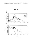 Methods and Compositions for Mammalian Cell Lines for Transfection and Protein Expression in Serum-Free Medium diagram and image