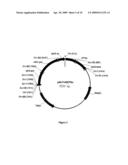 MODIFIED XYLANASE EXHIBITING IMPROVED EXPRESSION diagram and image