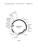 MODIFIED XYLANASE EXHIBITING IMPROVED EXPRESSION diagram and image