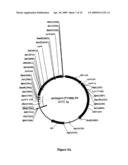 MODIFIED XYLANASE EXHIBITING IMPROVED EXPRESSION diagram and image