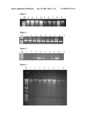 KITS AND PROCESSES FOR REMOVING CONTAMINANTS FROM NUCLEIC ACIDS IN ENVIRONMENTAL AND BIOLOGICAL SAMPLES diagram and image