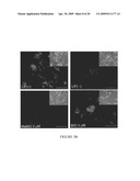 Maintenance of Embryonic Stem Cells by the GSK-3 Inhibitor 6-Bromoindirubin-3 -Oxime diagram and image