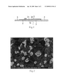 Immunochromatography method diagram and image