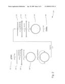 SELECTION OF DNA ADAPTOR ORIENTATION BY HYBRID CAPTURE diagram and image