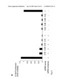 COMPOSITIONS AND METHODS FOR IMMUNOSTIMULATORY RNA OLIGONUCLEOTIDES diagram and image