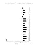 COMPOSITIONS AND METHODS FOR IMMUNOSTIMULATORY RNA OLIGONUCLEOTIDES diagram and image