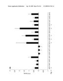 COMPOSITIONS AND METHODS FOR IMMUNOSTIMULATORY RNA OLIGONUCLEOTIDES diagram and image