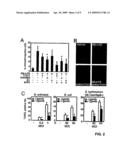 Compounds that Prevent Macrophage Apoptosis and Uses Thereof diagram and image