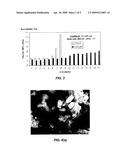 SOLID CATALYST SYSTEM FOR BIODIESEL PRODUCTION diagram and image