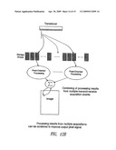 Ultrasound imaging system with pixel oriented processing diagram and image