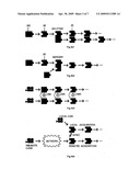 Interactive multimedia applications device diagram and image