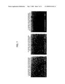 Method for Manufacturing Semiconductor Device and Substrate Processing Apparatus diagram and image